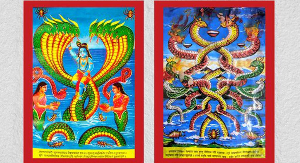 नागको पुजार्चना गरी आज नागपञ्चमी मनाइँदै