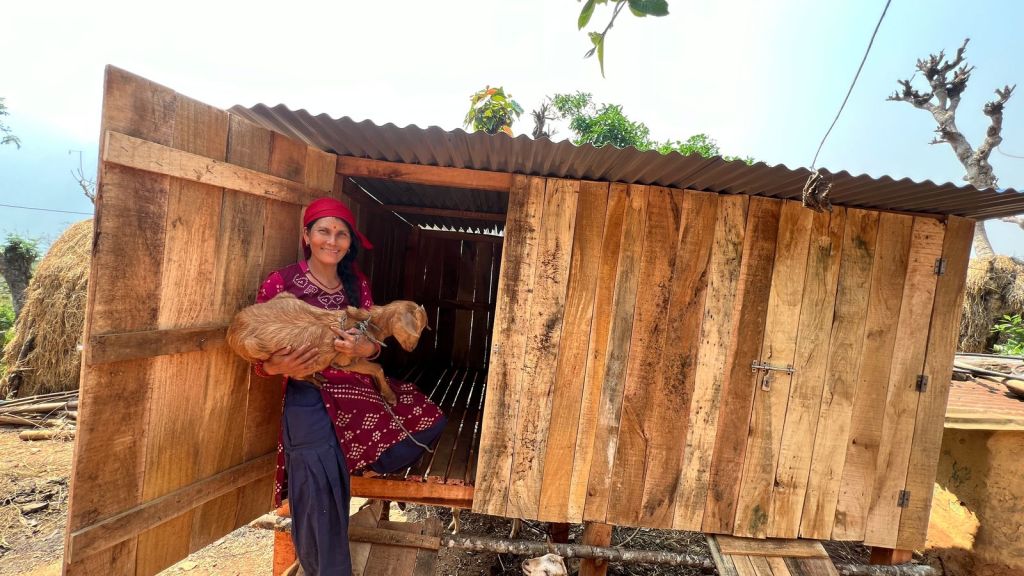 उत्पादन बढाउन आधुनिक खोर निर्माणमा जोड दिँदै वालिङ नगरपालिका